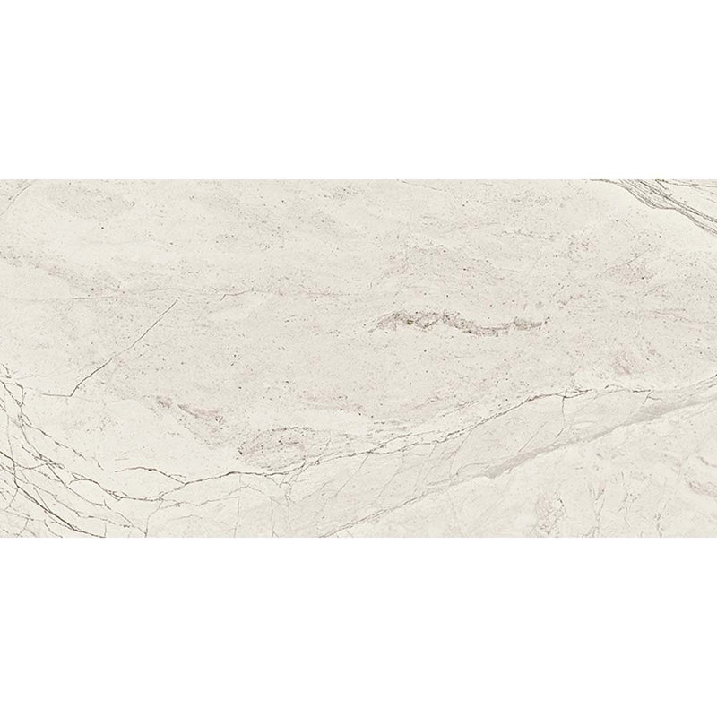 Splendor 11.81'' W x 23.62'' L Porcelain Singular Tile