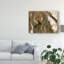 «Squirrel Portrait» par Lucie Gagne, reproduction de photo sur toile tendue-634540905