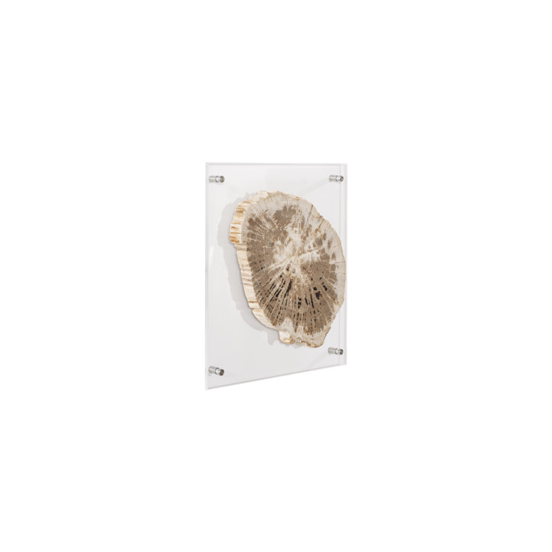 Floating Petrified Slice Wall Décor
