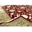 Oriental Area Rug in Rust/Beige
