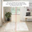 Ankica Abstract Area Rug-1915912555