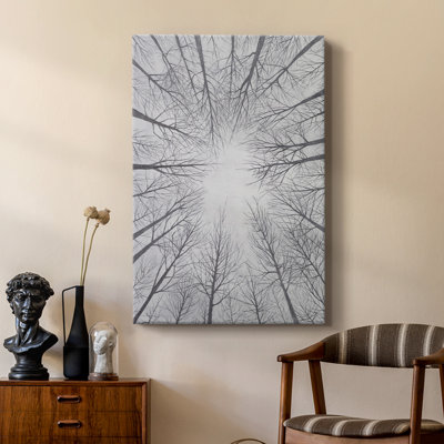 Deciduous Canopy II -Custom Wrapped Gallery Cavas