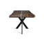 Meredosia Oak Solid Wood Top Metal Base Dining Table
