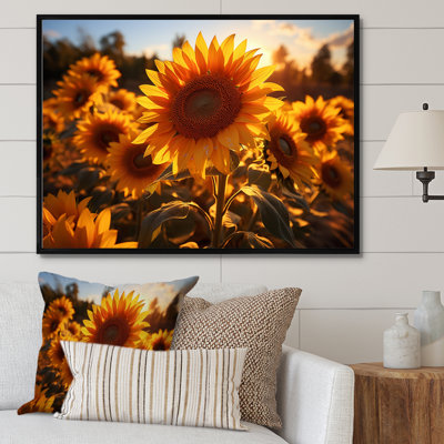 Tournesols orange et tournesols éclairés II