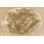 Mercury Area Rug in Beige