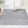 Janousek Oriental Indoor Rug