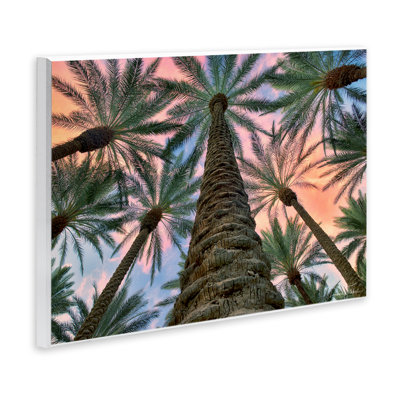 «Tall Overhead Palms», art mural par Dennis Frates