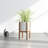 Dominic Pot Planter-1857260009