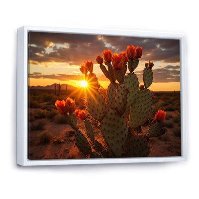Champ de cactus rouge et vert avec coucher de soleil III - impression