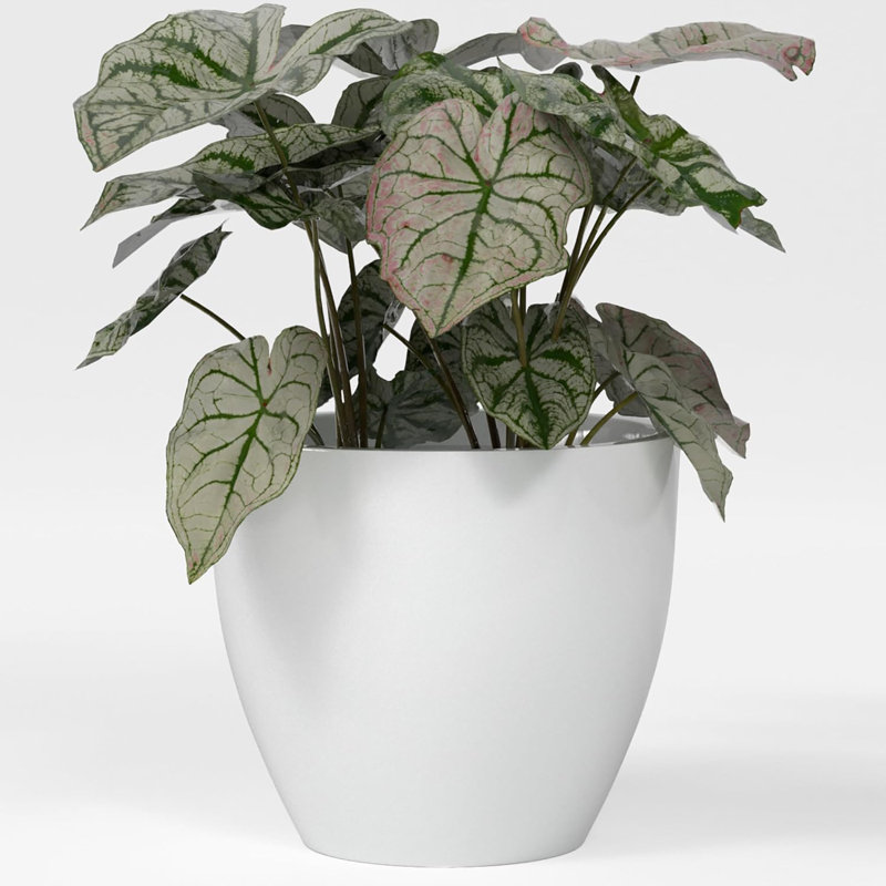 Greenline Fiberglass Lucy Large Indoor/Outdoor Round Planter Gloss White, 13" H x 15" W x 15" D