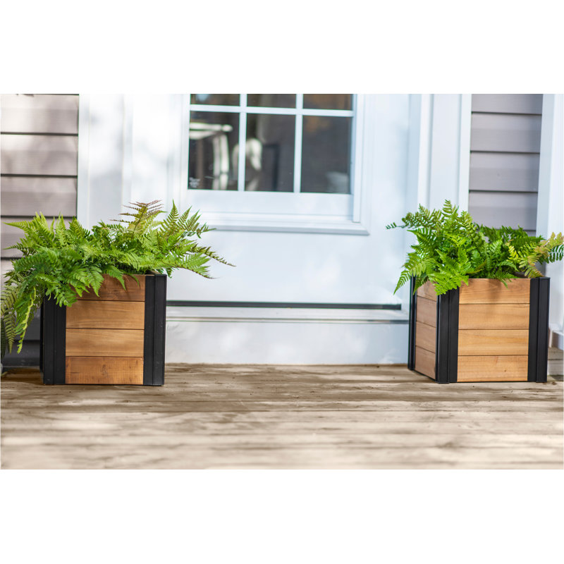 Mezza Cedar Brown Square Indoor/Outdoor Planter Box Set