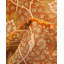 Classic One-of-a-Kind 6' 1" X 9' 5" Hand Knotted Area Rug
