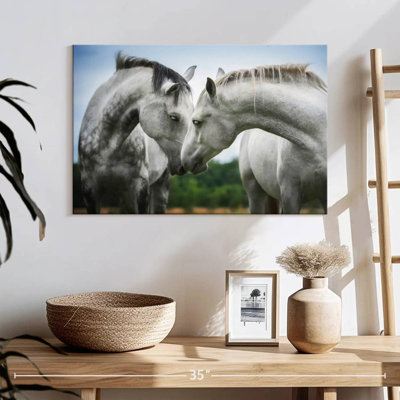 Hardie Horse Love