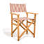 Directors Chair Table-1069273781