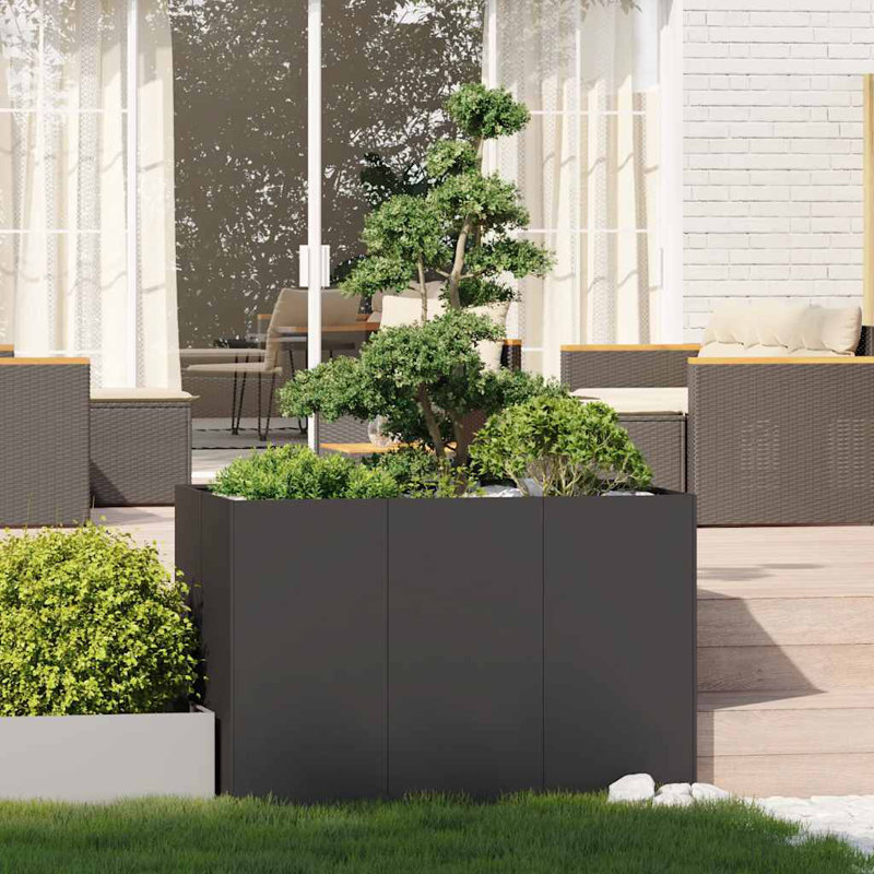 Pot Planter, 80cm H x 120cm W x 80cm D, Black