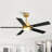 Rolanda 52" 5-inch Downrod Mount Ceiling Fan with Light Kit and Remote Control-1927761638