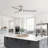 52'' Dimmable Modern Ceiling Fan With Led Light-561098156
