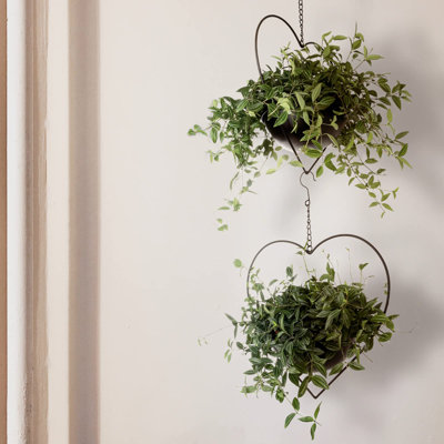 Ensemble de 2 porte-plantes suspendus en forme de cœur avec pot détachable de 7,5 pouces, pot à fleurs moderne en métal noir, support à plantes mural minimaliste