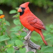 Backyard Wildlife Realistic Birds Cardinal Robin Blue Jay Cotton Fabric