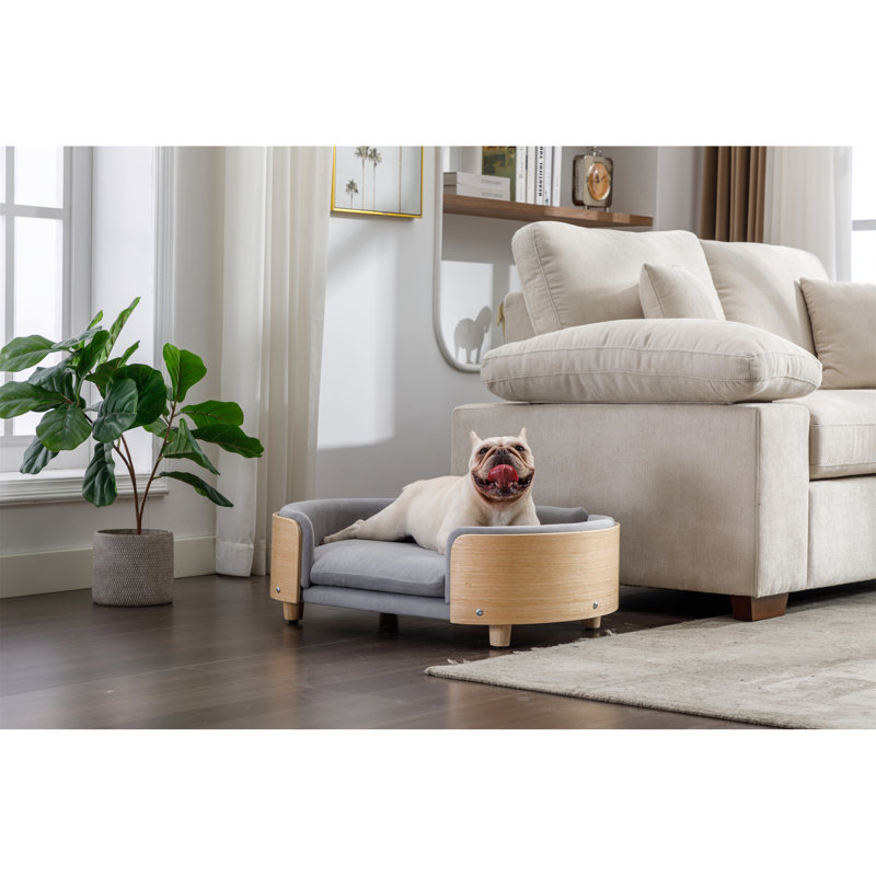 Chien gris à l'allure scandinave, dossier en bois cintré et housse amovible lavable - Scratch, structure en chêne, idéal pour les grands chiens, lit pour chien surélevé, grandes canines, pieds solides, mousse à mémoire de forme à rebond élevé