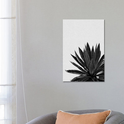 Agave Cactus B&W 1 Piece Wrapped Canvas Wall Art