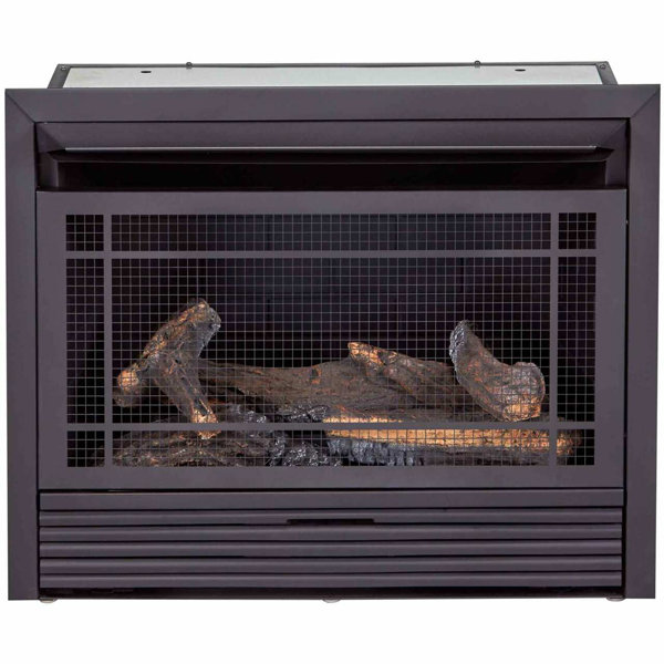 Ventless Gas Heaters | Wayfair