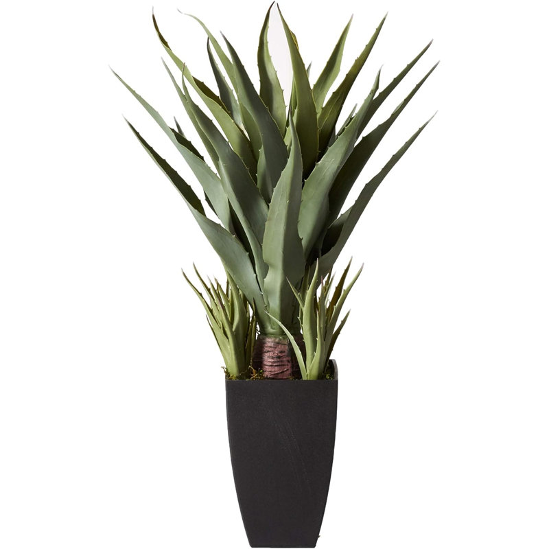 Sansevieria (35 po) et bouquet de plantes artificielles avec jardinières noires