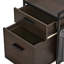 Ziolkowski 2-Drawer Mobile Vertical Filing Cabinet-1778292651