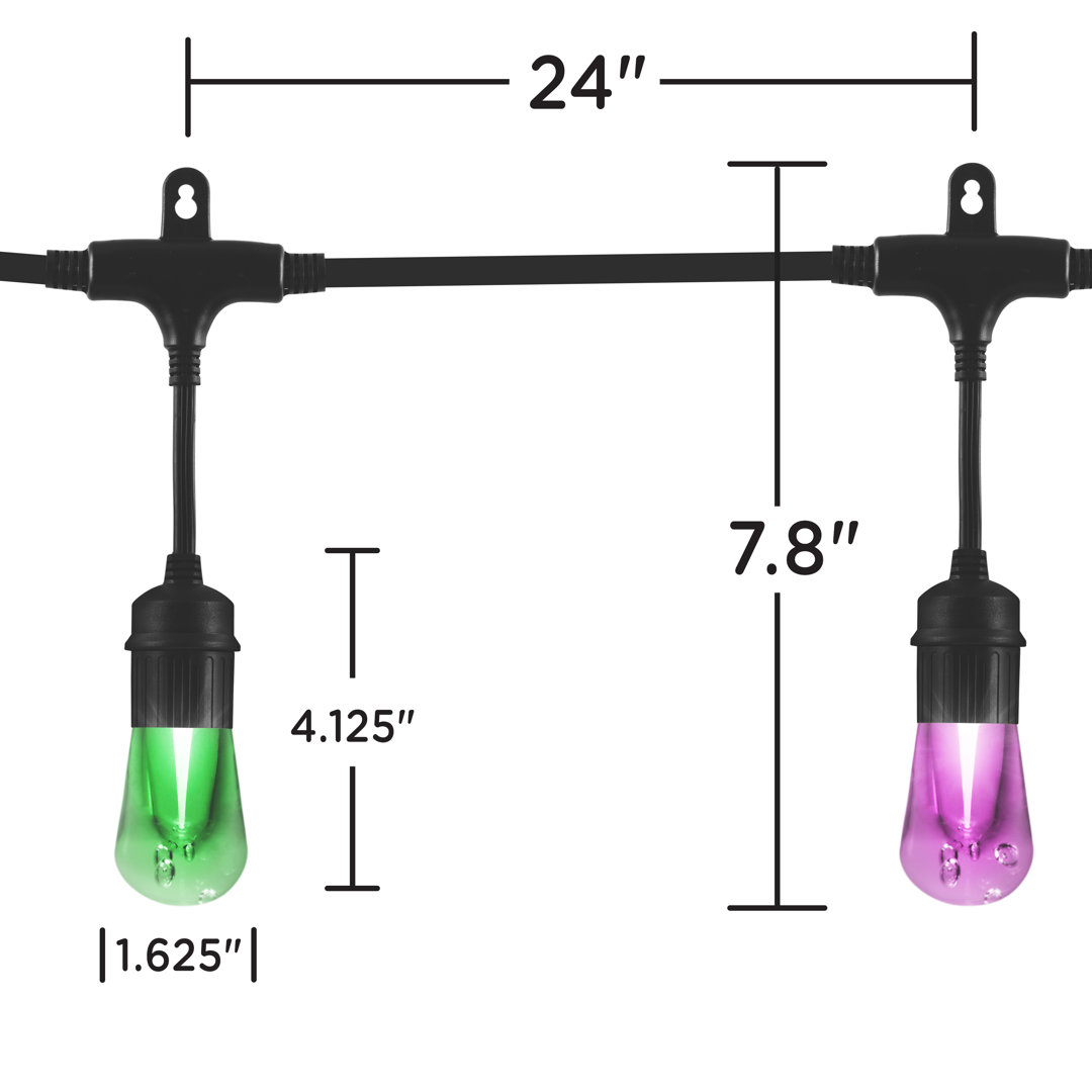 Enbrighten Seasons 48-ft Outdoor Color-Changing Cafe Lights Enbrighten