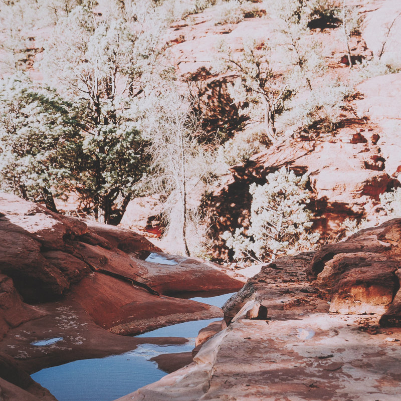 «Waldan In Sedona» par Kelly Frere, reproduction de photo encadrée sous verre