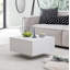 Dryden Pedestal Coffee Table