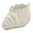 11.5X7x7 Inches Sand And Cement Shell Planter To Bring A Coastal Atmosphere Your Lounge