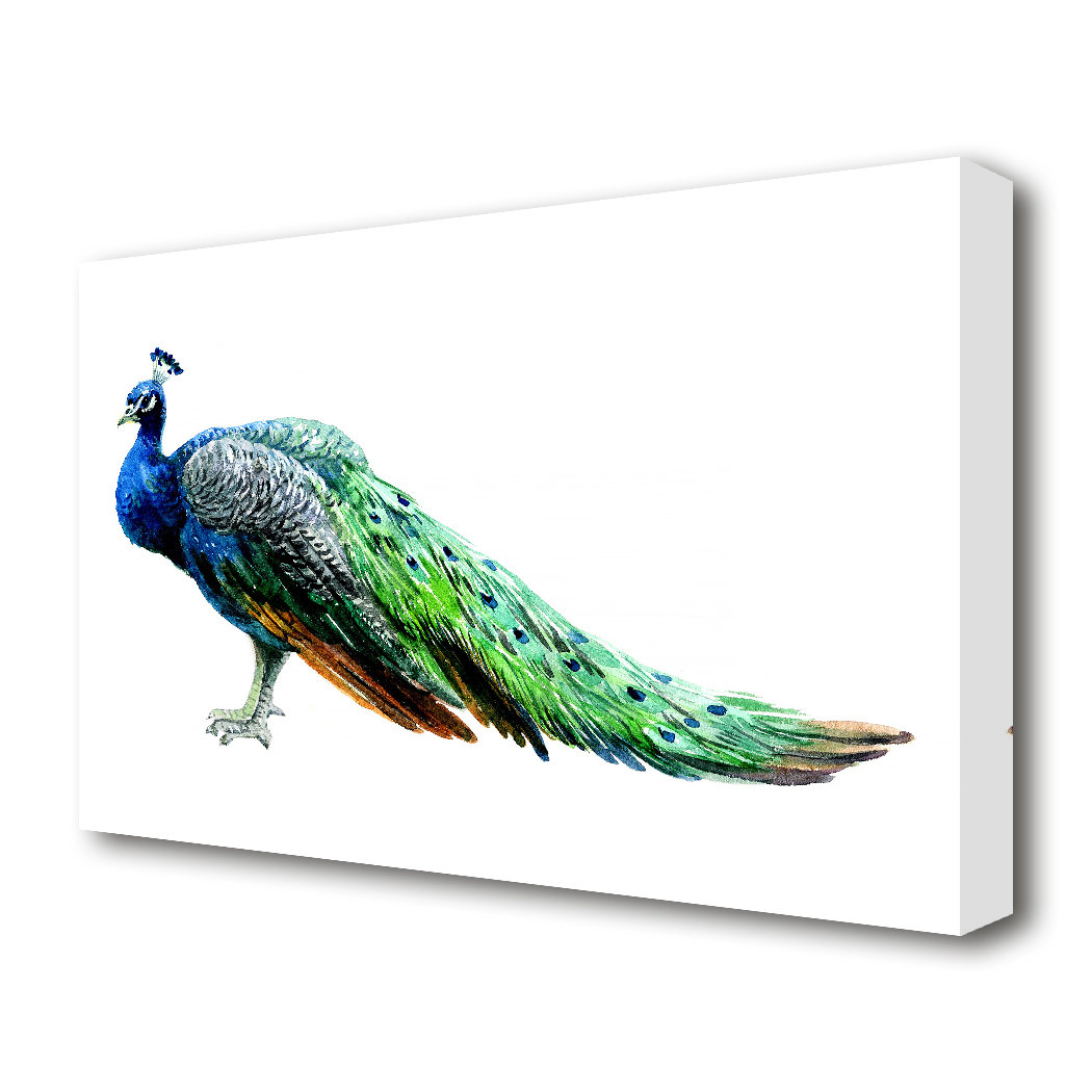 East Urban Home Peacock Stance Wild Life - Wrapped Canvas Graphic Art ...