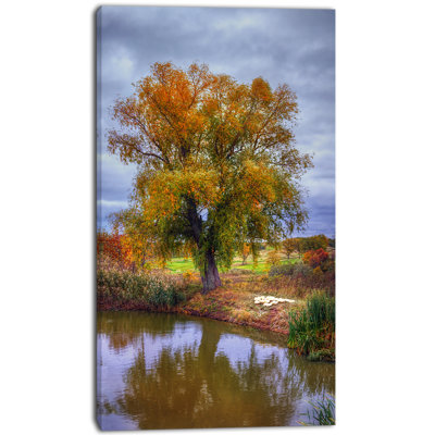 " Willow Near Pond "