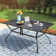 Birmadevi Powder-coated Metal Frame Black Rectangular Outdoor Patio Dining Table with Umbrella Hole