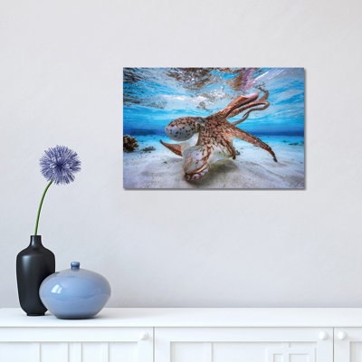 Dancing Octopus by Barathieu Gabriel - Print on Canvas