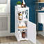 Aahana Plastic / Acrylic Bathroom Cabinet-407963440