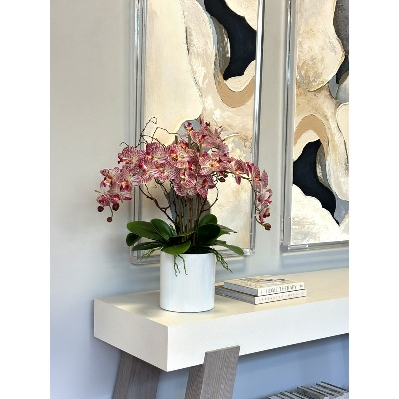 Orchids Arranged in Fiberstone Planter, Pink