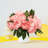 Peony Bundle Arrangement - 5pcs-772012307