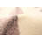 Tavon Floral Indoor Rug-1979393249