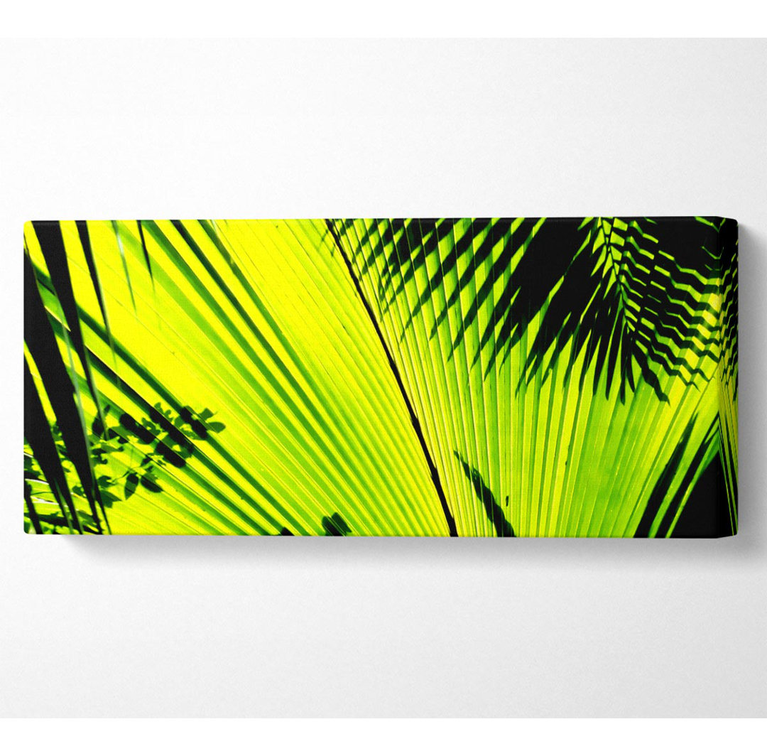 Lime Palm Tree - Leinwanddrucke