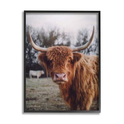 Highland, bovin, vache, chaud, ensoleillé, portrait, estampe numérique, ensemble d'art texturé par Dakota Diener
