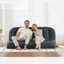 Lit convertible pour chien en couple-1458583271
