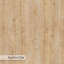 Table d'appoint en chêne saphir 15,7 po x 15,7 po x 13,8 po | 100% panneau de particules enduit de mélamine, 0,7 po d'épaisseur | Conception scandinave moderne, assemblage facile, capacité de 22 lb-1079339828