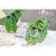 2 pièces de plantes artificielles artificielles pour la salle de bain