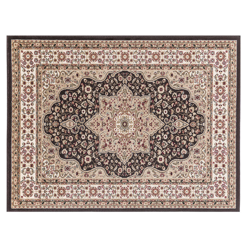 Mcneely Oriental Area Rug, Rectangle 80 x 150cm