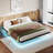 Floating Metal Bed Frame With LED Lights,Underbed Storage,No Boxspring Needed-96310568