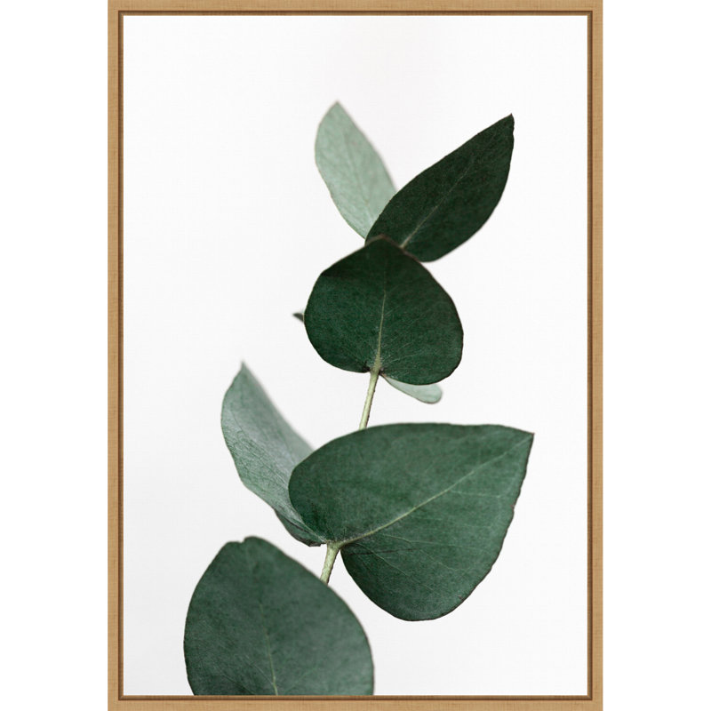 "Eucalyptus 4" par Mareike Bohmer, reproduction d'art sur toile encadrée