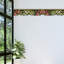 Bordure de feuilles Thurner