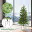 Plant-286695145